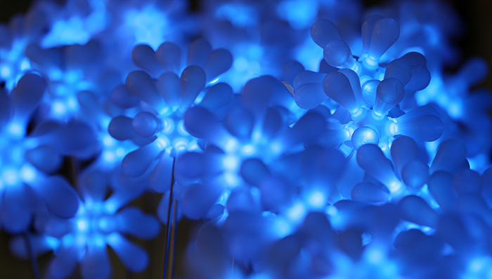 LED_expo_04.jpg