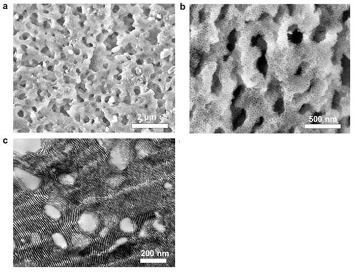 The view through an electron microscopic of the hierarchically porous inorganic oxide materials developed by the research team.