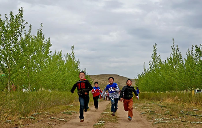 Mongolia_Forest_Project_1215_02.jpg