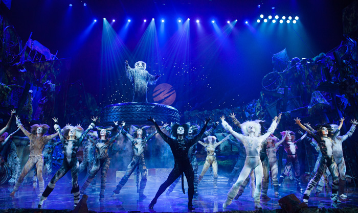 Musical_Cats_Daegu_02.jpg