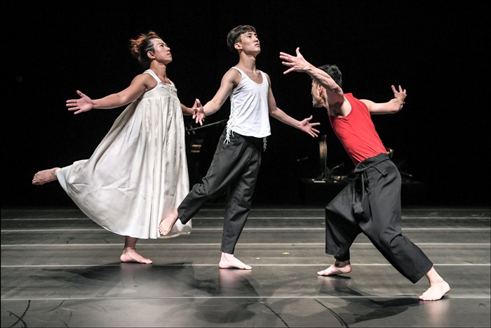 Dancers present Nativos, a modern dance performance co-produced by the Korea National Contemporary Dance Company and Belgium’s Theatre de Liege, at the Sejong Center for the Performing Arts in Seoul on Nov. 2