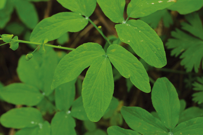 Nature_Article_07.jpg