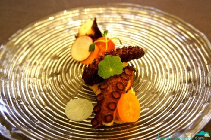 Octopus