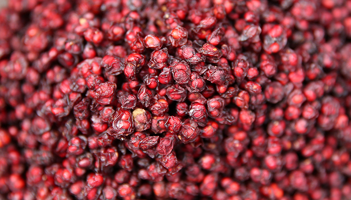 <i>Omija</i> berries are the main ingredient in <i>hwachae</i> juice. The name of the fruit means 'five flavor fruit,' as it is said to have five tastes: sweet, bitter, sour, hot and spicy.