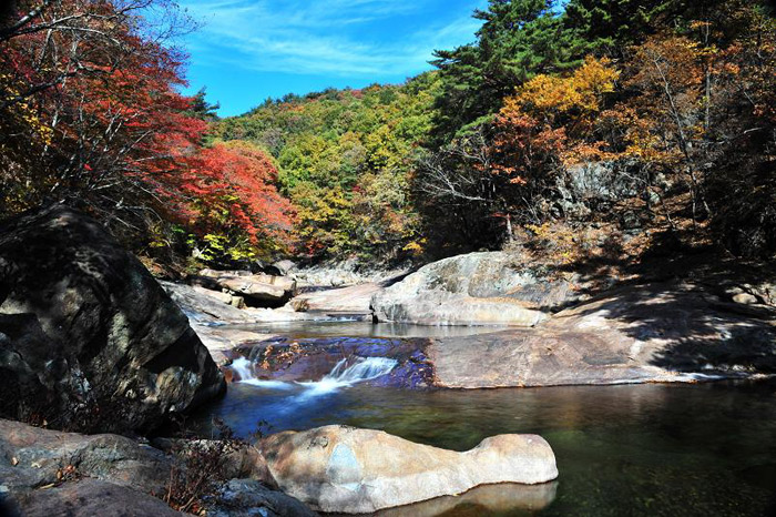 Natural spring water flows through a forest tinted with autumn foliage near Daewonsa Temple. (Courtesy of Sancheong County)