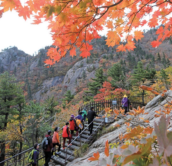 Seokcho_Travel_Korea_Magazine_03.jpg