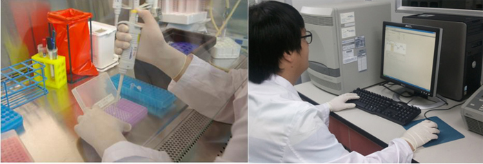  DNA analysis is being carried out to detect bacillary dysentery-causing bacteria. (Photo courtesy of the RDA) 