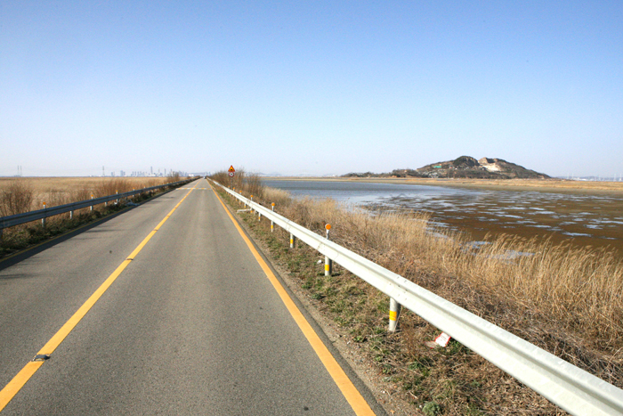  (Top) A vast reed bed near Sihwaho Lake. (Bottom) The reeds dance in the wind, giving a sense of timelessness. (Photos courtesy of the Korea Tourism Organization) 