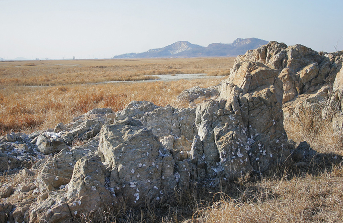  Oyster shells on the rocks show that the area used to be underwater. (Photo courtesy of the Korea Tourism Organization) 