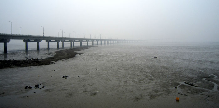 Sonhgdo mud flat (photo courtesy of the Incheon Metropolitan Government)