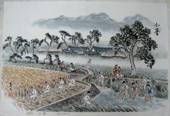 On <i>Soseo</i>, which falls on July 7 this year, farmers would traditionally do the first major weeding of the year, using the cut grass as compost.