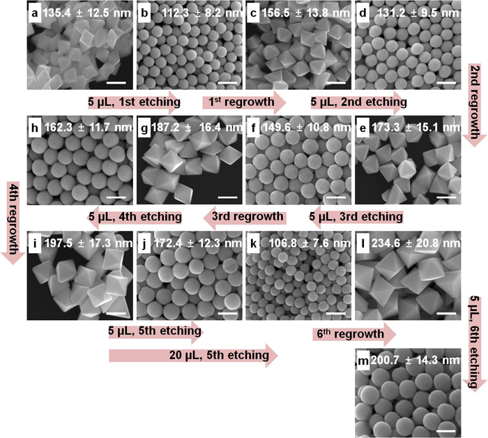 These scanning electron microscope (SEM) images show the gold nanocrystals after the repeated growth-and-etching process. (Photo courtesy of the Ministry of Science, ICT and Future Planning)