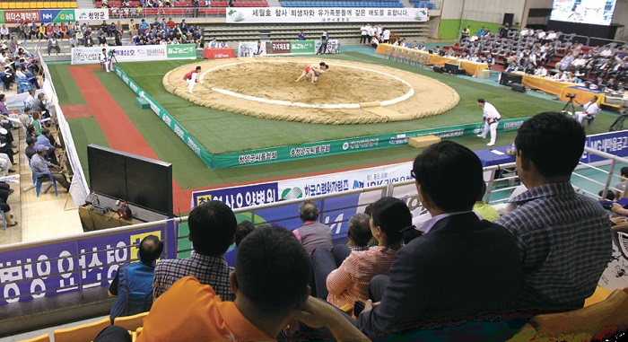 Competitors in the 80 kg division at the Dano Jangsa Ssireum Competition at Cheongyang Stadium in Chungcheongnam-do © Yonhap News