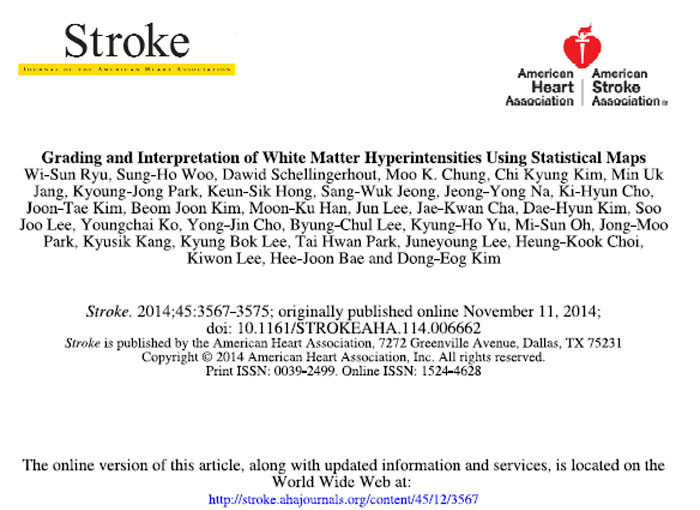 The brain ischemic stroke map is published in the December edition of Stroke.