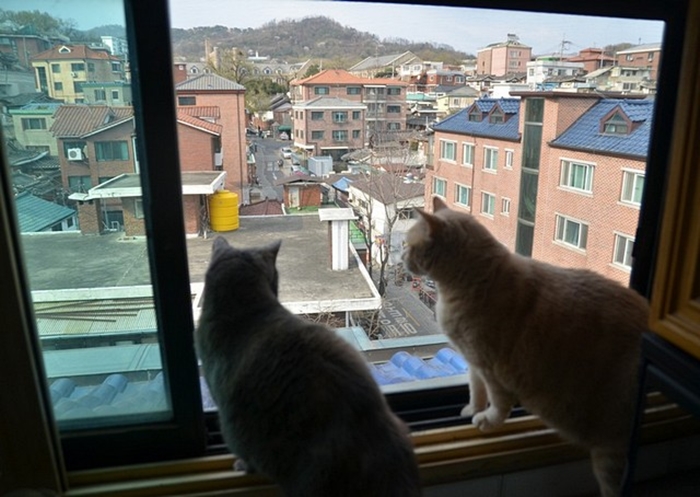 Looking over Bukchon Hanok Village toward Jungang High School. 