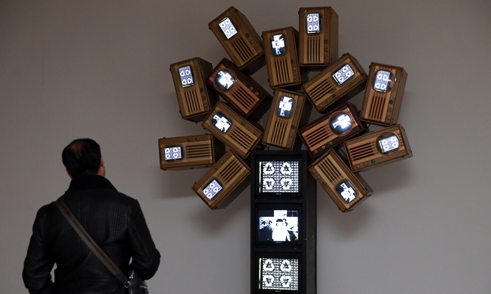 A museumgoer inspects Paik Nam June's 'PhotosynthesisⅡ'(광합성Ⅱ, '光合成Ⅱ) currently on display at the 'One Divided Into Three: An Exhibition of Three Korean Artists' exhibit currently underway at the Today Art Museum in Beijing, on November 8.