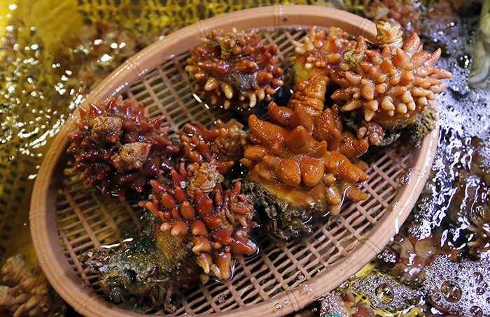Winter is also the best season for sea squirt, as well as oysters. 