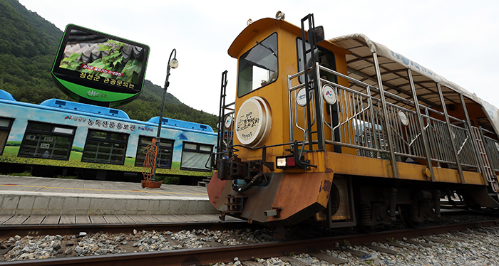Traditional_Market_Train_Article_11.jpg