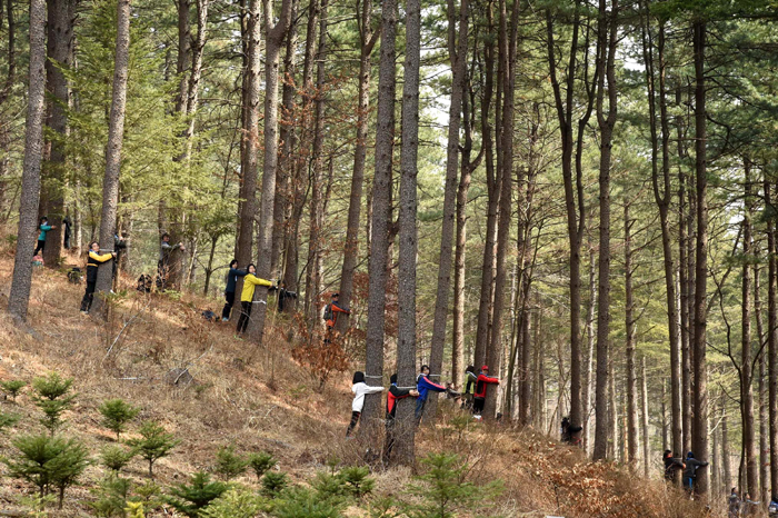 Tree_hug_Korea_02.jpg