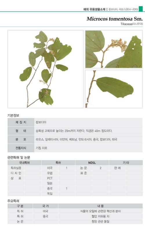 Useful_Plants_Medical_Use_02.jpg