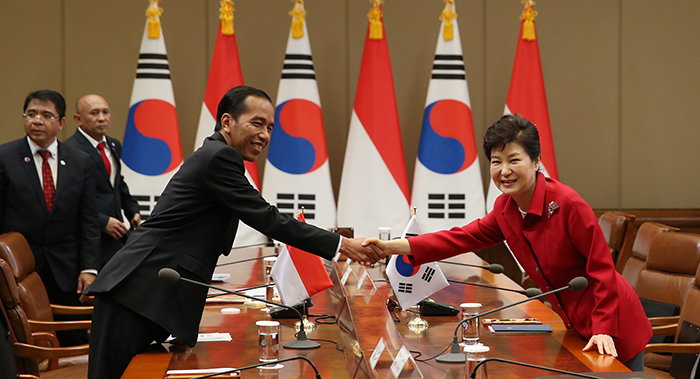 President Park Geun-hye (right) and Indonesian President Joko Widodo hold summit talks at Cheong Wa Dae on May 16.