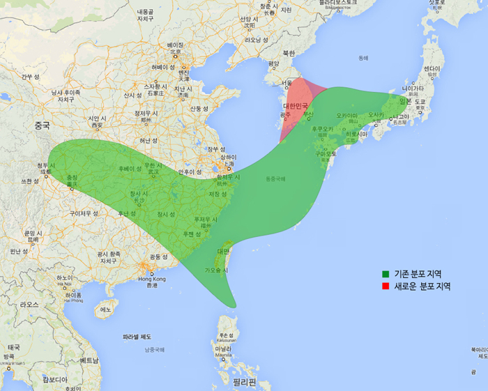 With the discovery of a new population of <i>Vexillabium yakushimense</i> in the Yanggu region of Gangwon-do, the northernmost habitat of the species has been expanded to territory located at the 38th parallel north (in red), up from the previous 36th parallel (in green), as can be seen in the plant's worldwide distribution map. 