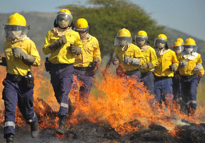 The International Wildland Fire Conference is made up of both official events focusing on extinguishing wild fires and various sideline events. The photo above shows a firefighting demonstration at the previous conference in 2011 in Sun City, South Africa.