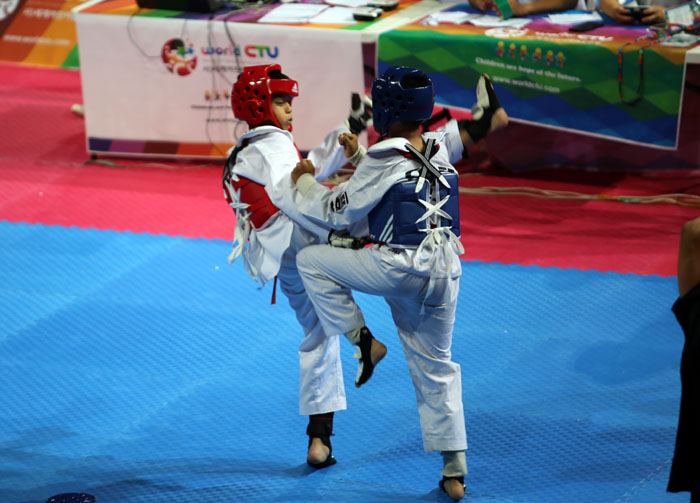 World_Chidren_Taekwondo_Festival_05.jpg