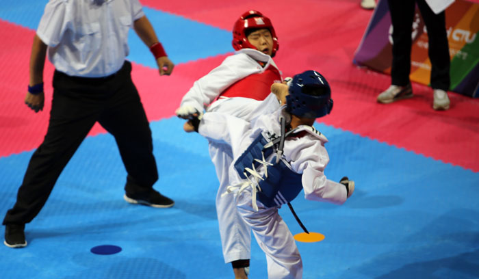 World_Chidren_Taekwondo_Festival_06.jpg