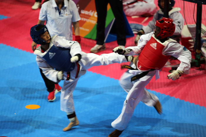 World_Chidren_Taekwondo_Festival_08.jpg