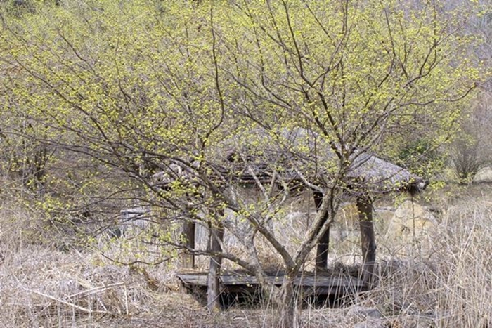 Take a rest in this traditional Korean gazebo.