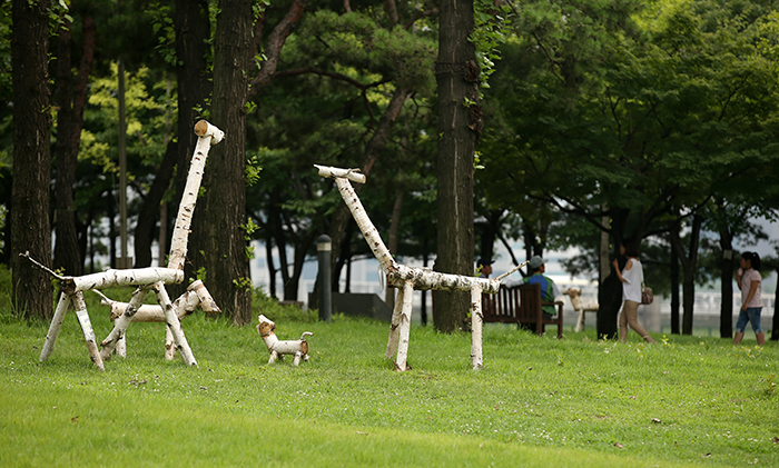 The Seonyudo ecopark helps visitors escape from the daily bustle of city life. (photo: Jeon Han) 