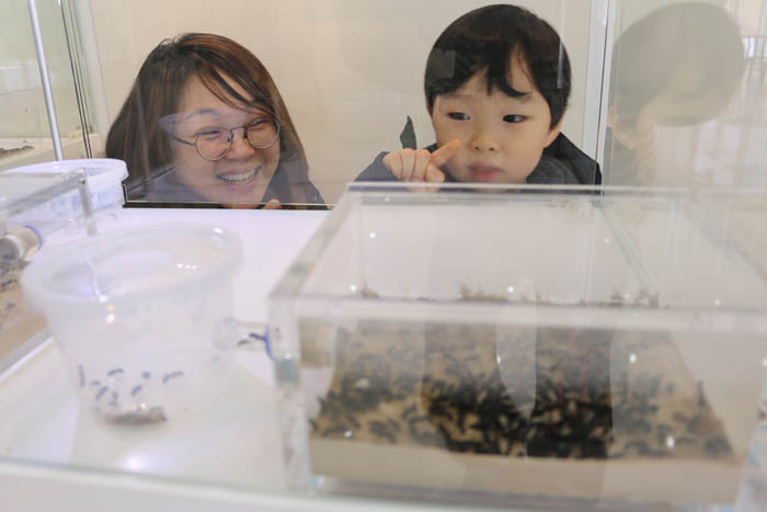  Visitors take a look at an ant farm. 