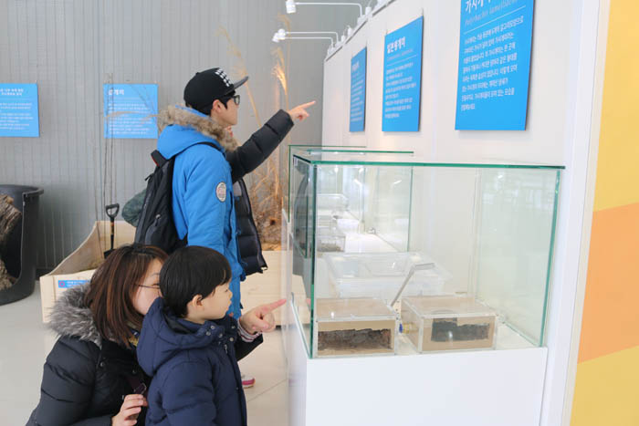 'Visitors take a look at the preliminary exhibit for the '2015 Ant Special Exhibition.' 