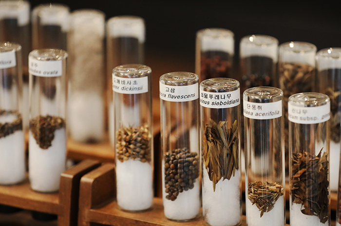 The Seed Library at Seoul Botanic Park allows visitors to borrow seeds like books from a regular library.
