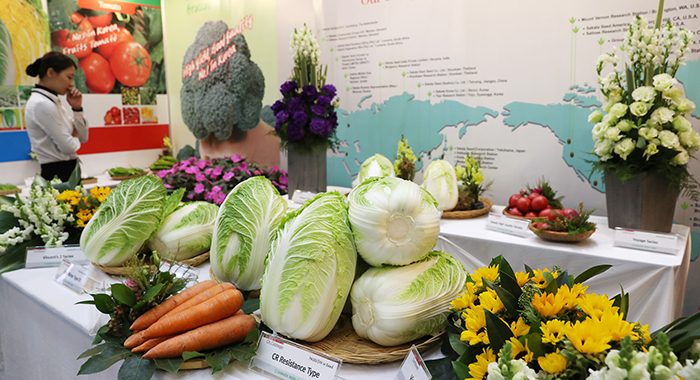 The plants from various seeds, such as radishes, cabbage and carrots, are on display at 60 booths that are adjacent to the conference venue.