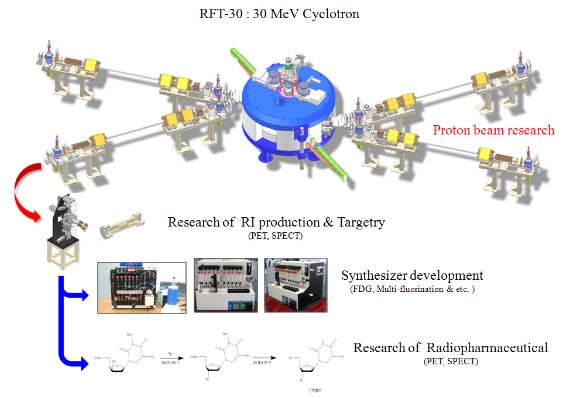  An image of the RFT-30 cyclotron (image courtesy of the KAERI) 