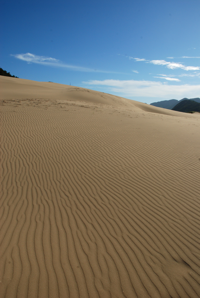 The Okjungdong Dunes, located on the north side of Daecheong Island, off the coast of Ongjin County, Incheon, is a rare scene for the mountainous Korean Peninsula. (photo courtesy of the National Institute of Environmental Research)