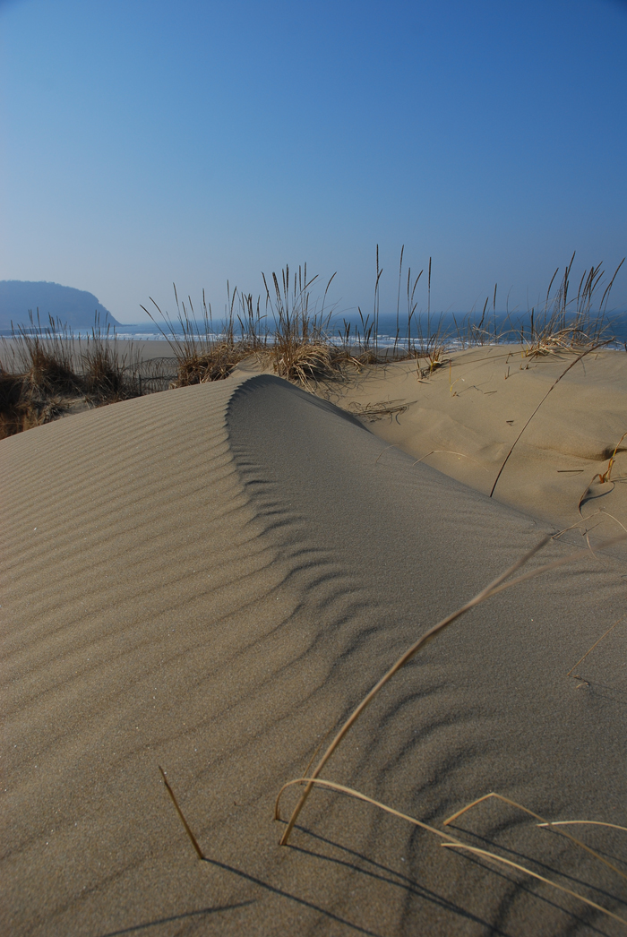  The Okjungdong Sand Dunes have been forming since the Ice Age ended some 15,000 years ago. (photo courtesy of the National Institute of Environmental Research) 