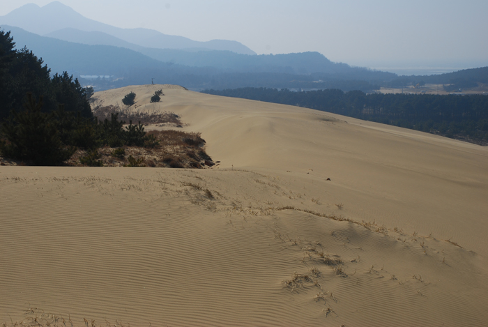 The Okjungdong Dunes are located on the north side of Daecheong Island off the coast of Ongjin County, Incheon. (photos courtesy of the National Institute of Environmental Research) 