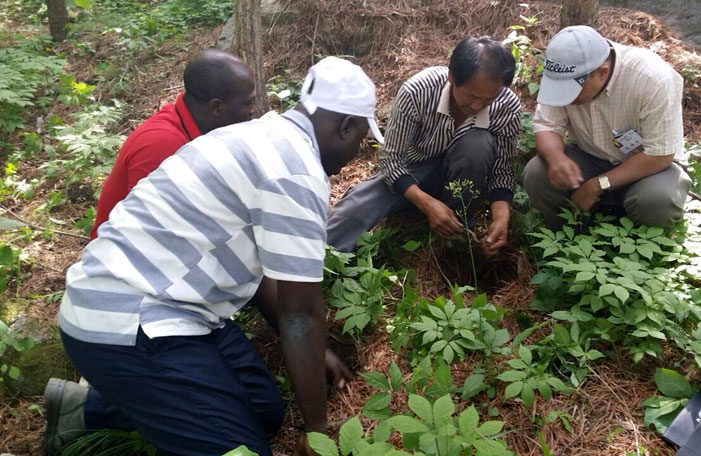 Participants attend a field inspection and share their tree-planting know-how. (photos courtesy of the KFS)