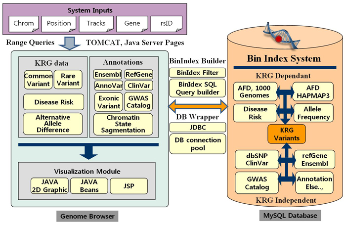  This graphic shows the process of making a complete genome reference map. 