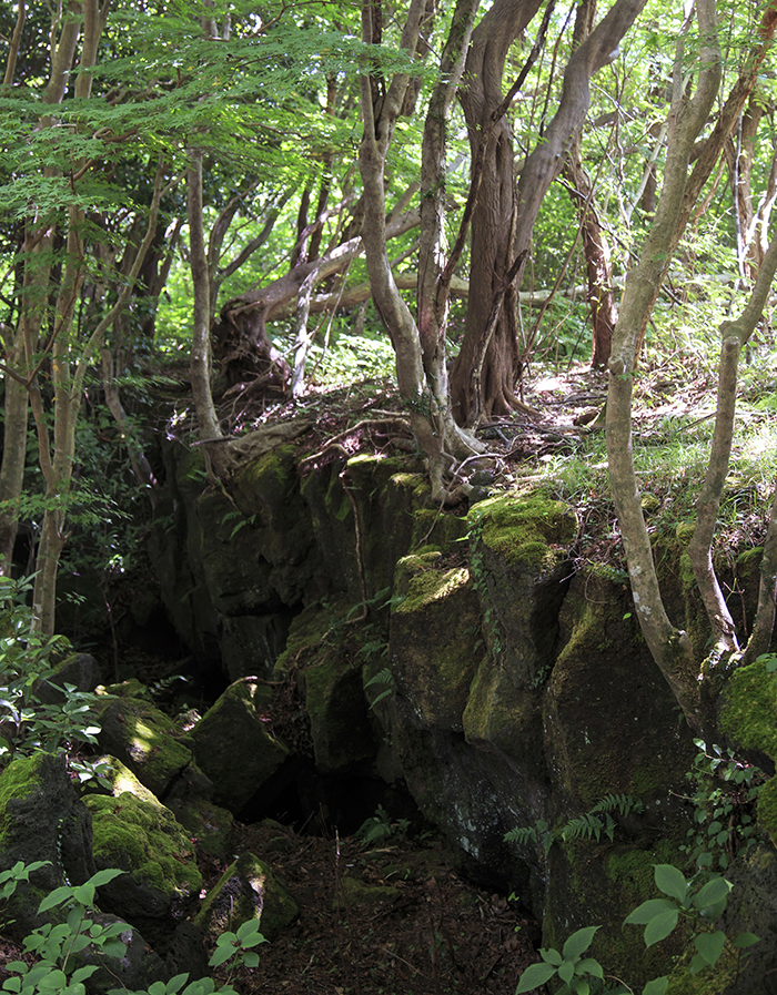 A lava gorge is formed inside one of the craters at Geomunoreum.