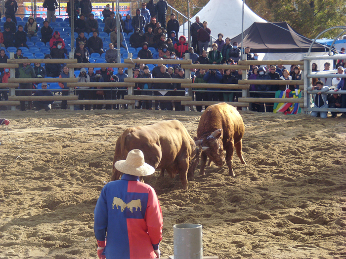 gimhae-150404-1.jpg