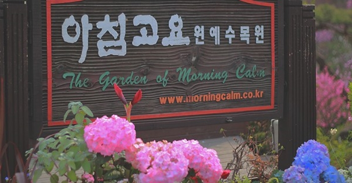 Species of hydrangea (수국) flowers are scattered around the park
