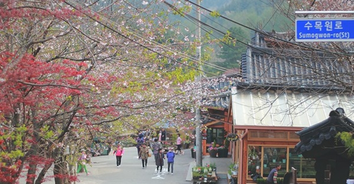 Shops located at the entrance of the park