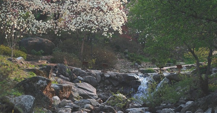 A small stream inside the park