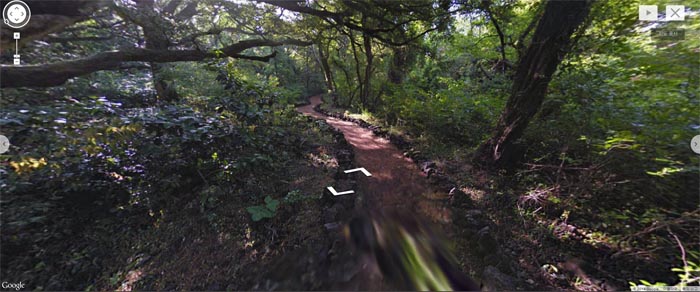 (Top) The Manjanggul Lava Tubes, natural underground lava caves, were formed as volcanic lava flowed through the earth. (Bottom) Some 2,800 nutmeg trees, ranging from 500 to 800 years old, inhabit the Bijarim Forest, covering some 448,000 square meters. 