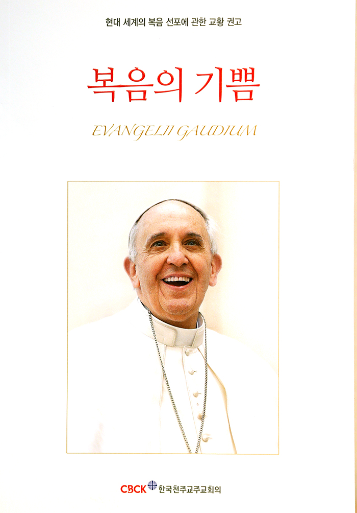 The Joy of the Gospel: Evangelii Gaudium (Publication / United States  Conference of Catholic Bishops)