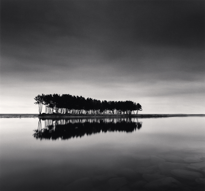  “Pine Trees, Study 3, Wolcheon, Gangwondo, South Korea, 2011” (Photo courtesy of the Gallery KONG) 